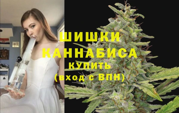 хмурый Балабаново