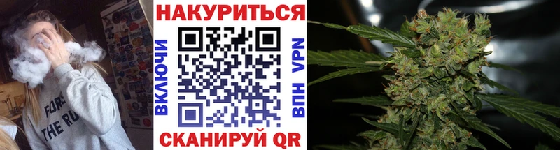 Каннабис SATIVA & INDICA  Сельцо 